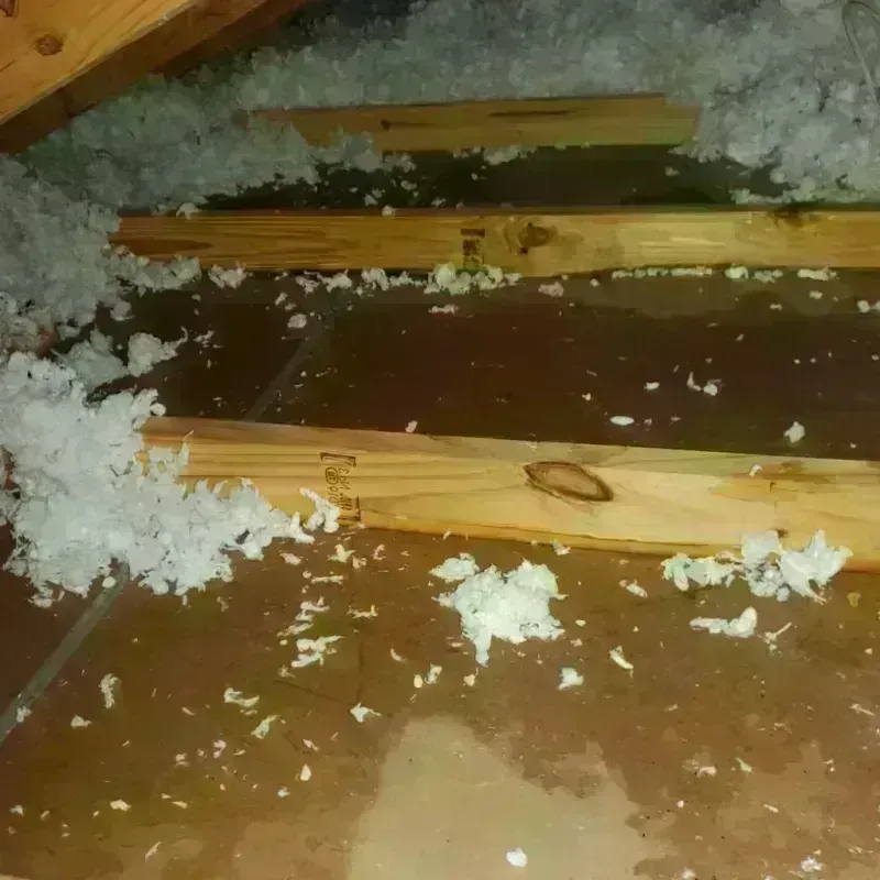 Attic Water Damage in Mentor, OH