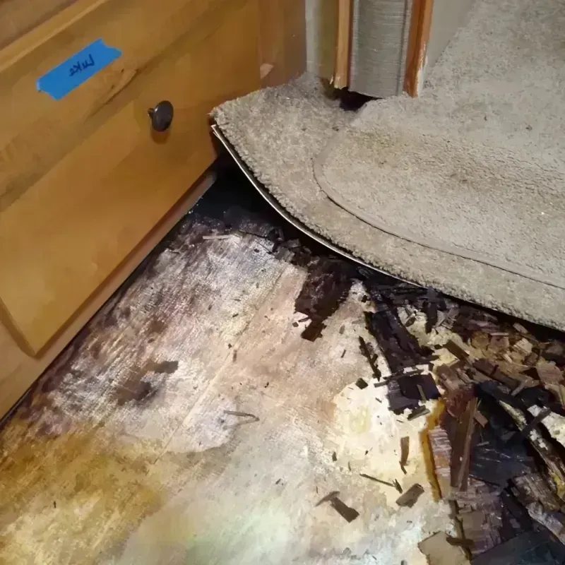 Wood Floor Water Damage in Mentor, OH